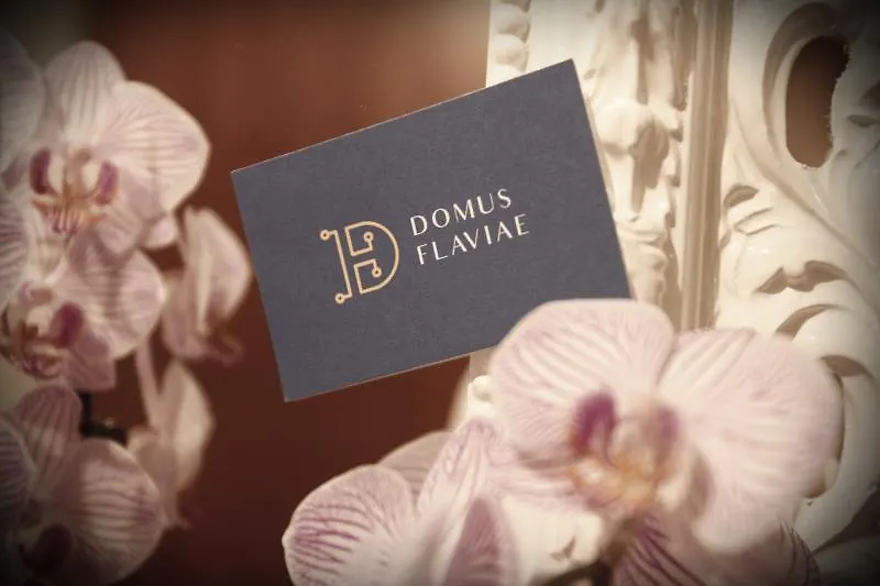 Domus Flaviae Hotel Roma Casa de hóspedes